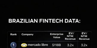Brazilian Fintech Data: Brazilian Fintech Data: